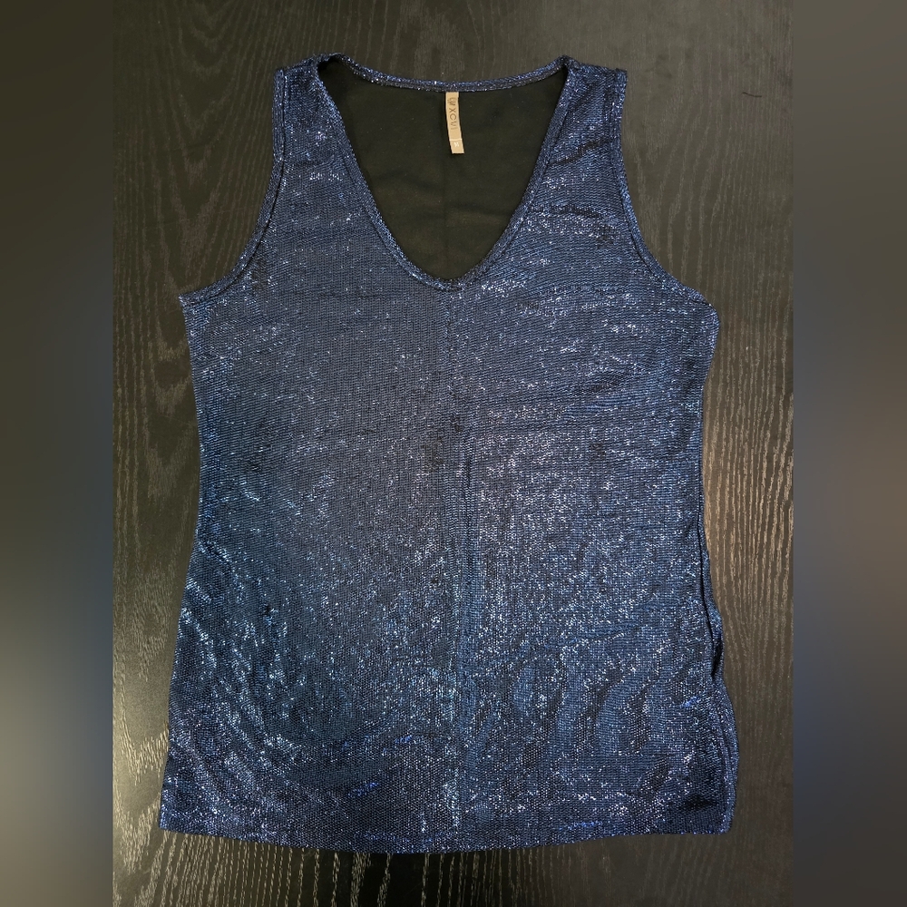 NWOT Elegant Metallic Blue Sleeveless Top